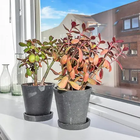 Plads Til 4 Personer - 5 Minutter Fra Friluftsbadet *